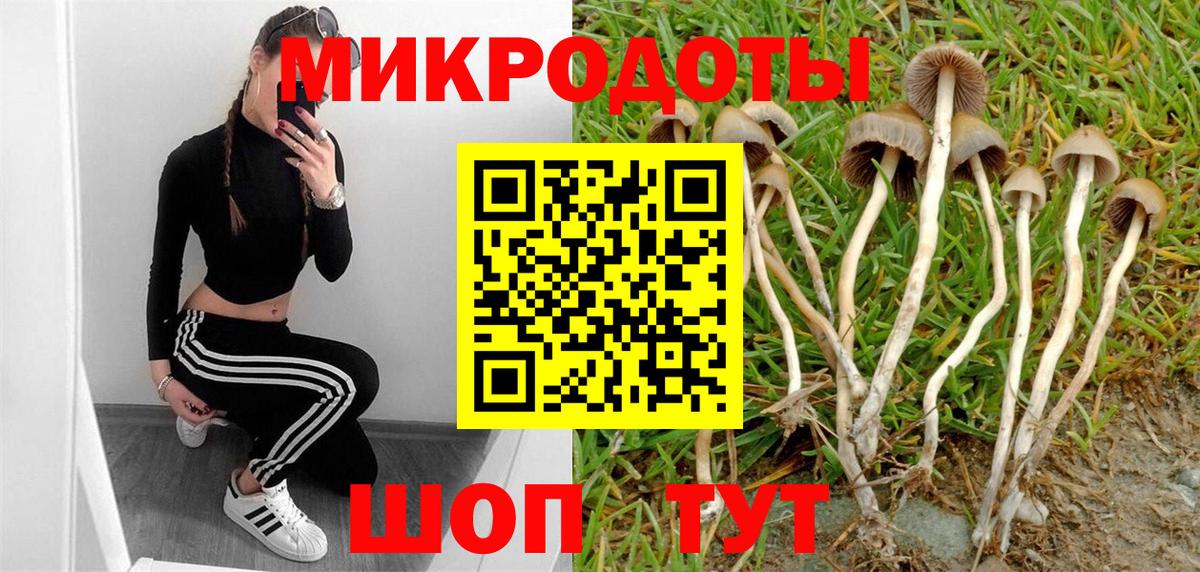 Астрахань  Галлюциногенные грибы Psilocybe  Вход с VPN  Галлюциногенные грибы Magic Shrooms 